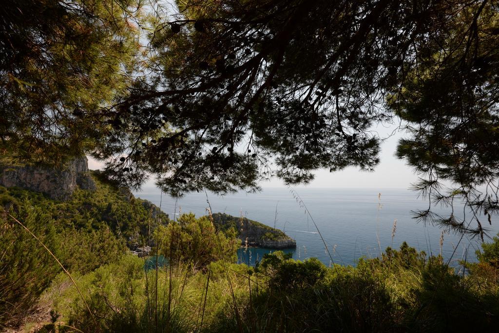 Villino Iolanda Villa Marina di Camerota Esterno foto