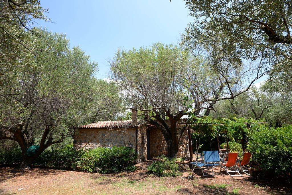 Villino Iolanda Villa Marina di Camerota Esterno foto
