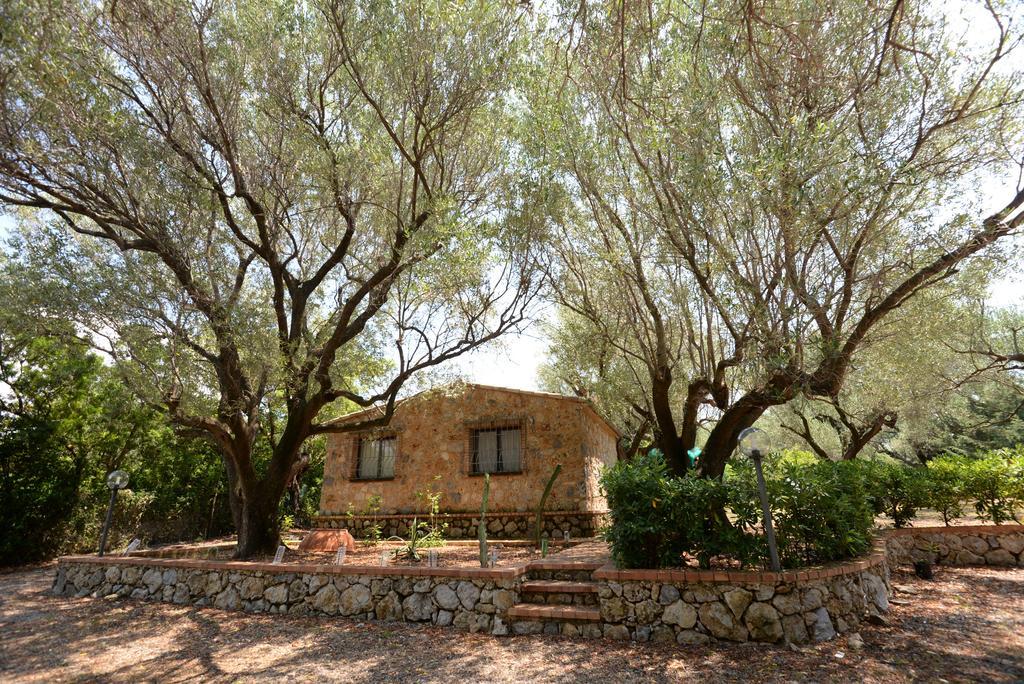 Villino Iolanda Villa Marina di Camerota Esterno foto