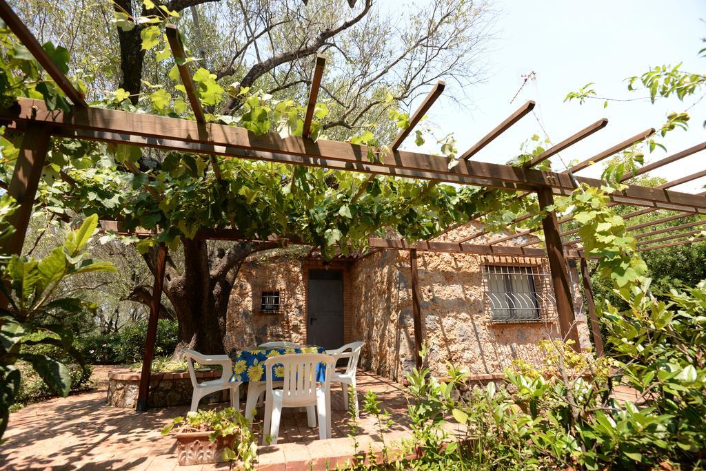 Villino Iolanda Villa Marina di Camerota Esterno foto