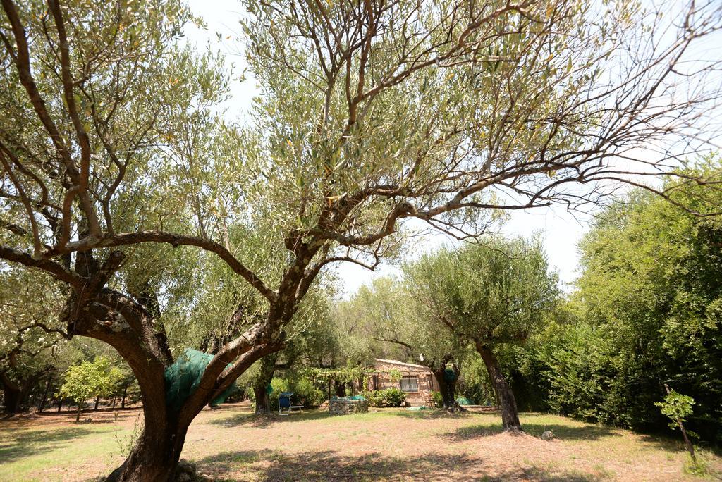 Villino Iolanda Villa Marina di Camerota Esterno foto