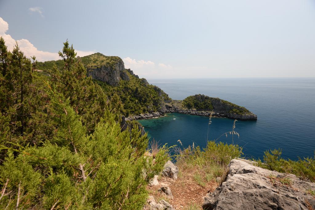 Villino Iolanda Villa Marina di Camerota Esterno foto